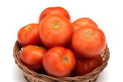 1 Kg Fresh Tomato Local