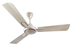 Havells 1200mm Ambrose Energy Saving Ceiling Fan (Gold Mist Wood, Pack of 1) Price in India