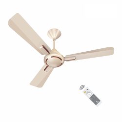 Havells Ambrose 1200mm Energy Saving Ceiling Fan (Pack of 1)Price in India