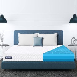 Sleep Company SmartGRID Ortho 6 Inch Mattress King Size Medium Firm Double bed