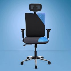 The Sleep Company SmartGRID Onyx Orthopedic Chair for Home & Office